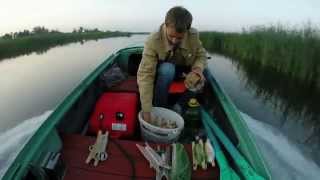 Рыбалка, лещ - Кольцо GoPro