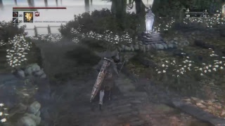 BLOODBORNE прокачка персонажа PVE