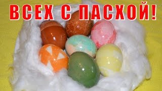 Как покрасить ЯЙЦА НА ПАСХУ? Проверяем 2 способа как покрасить яйца оригинально в яркие цвета