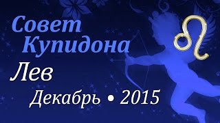 Лев, совет Купидона на декабрь 2015. Любовный гороскоп.
