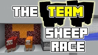 The Team Sheep Race (Minecraft Marble Race)
