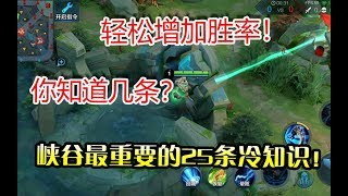 《王者荣耀》：峡谷冷知识盘点！最强的直接加人物属性！你知道几条？【荣耀菜小鸟】