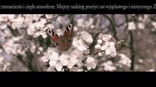 Wiosenne życzenia 2019