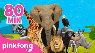 ¡Esta Es la Sabana ???? ????????| | +Recopilación | Canciones de Animales | Pinkfong Canciones Infantiles
