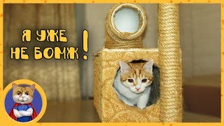 Делаем домик для Рыжика. Как сделать домик для кота своими руками