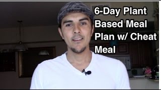 6 Day Plant Based Meal Plan with "Cheat Meal" pt  1