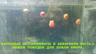 Вяжем поводок для  ловли амура,карповые эксперименты в аквариуме часть 1.