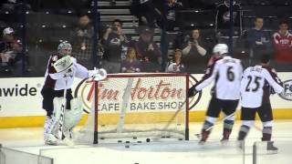 Columbus Blue Jackets vs. Colorado Avalanche Sergei Bobrovsky and Semyon Varlamov 4/1/2014