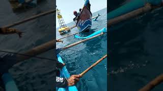 Baby shark... Mancing ikan lemadang malah dapat baby shark