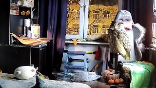 Сова интеллигентно ужинает в кровати. Тайная жизнь совы