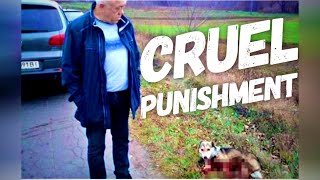 Dog’s Injuries Skinned To The Bone After Cruel Punishment