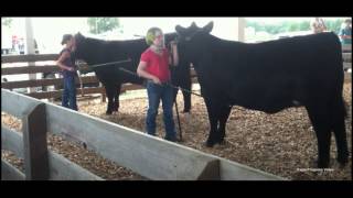 A Lesson In Showmanship