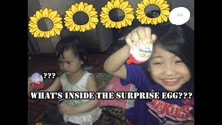 What's Inside the Surprise Egg?