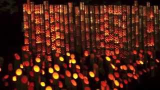 ☆夕涼み竹灯籠☆ 湖西市新所原 bamboo lanterns in Kosai city