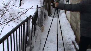 Primos Trigger stick tripod, Диана 350 и Эдган Матадор