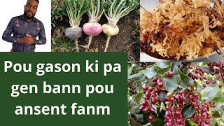 Gason ki pa gen bann pou ansent fanm oubyen pou fe pitit | men solisyon an