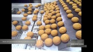 MODERN BAKERY 2016 СЭМЗ