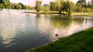 Asus Padfone video sample III. - Mobilissimo.ro