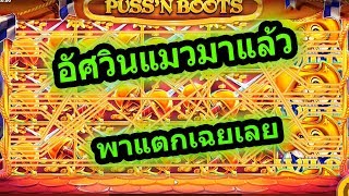 #Youlikebet : PUSS'N BOOTS แมวเทพพารวย เกมดีค่าย RT !!