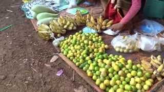 fresh food shopping in pakse/ ຕະຫລາດ ປາກເຊ lao p d r