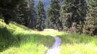 Penkenbahn Freeriding Downhill | Mayrhofen, Austria