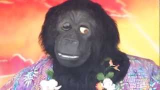 Rockafire Explosion Showbiz Pizza Fail