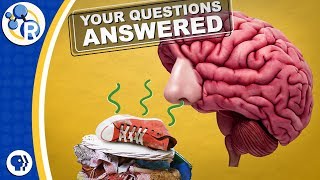 Nose Blindness, Mouthwash, and Hand Sanitizer--Your Questions Answered