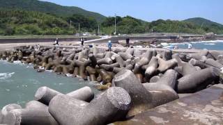 渥美半島の越戸突堤釣り場2010-7-5