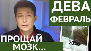 Дева февраль 2020 прощай мозг гороскоп . гороскоп Дева на февраль 2020 Павел Чудинов