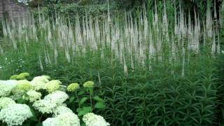 A visit to Sissinghurst July 2011