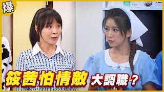 《黃金爆爆爆》黃金歲月 EP15 筱茜怕情敵 大調職？