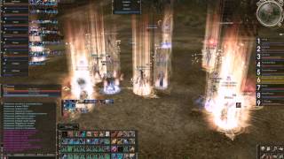 TnR vs DMG