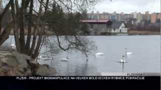 Plzeňská 1: Bolevecký rybník