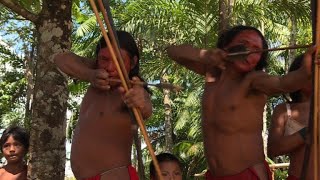Tribe sharpens arrows against Amazon invaders
