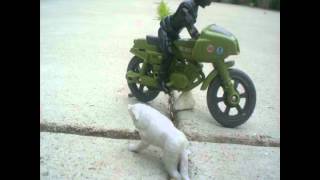 A Motorcycle and a Wolf