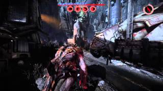 Evolve|Goliath|Tiger Skin