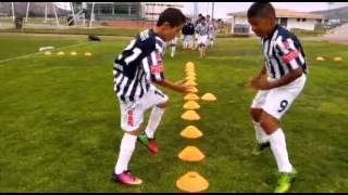 Fuerzas básicas club pachuca