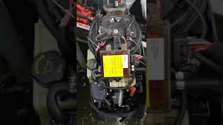 Evinrude e-tec проблема