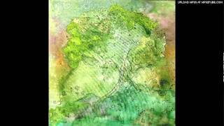 The Avoda - Caught in the Riptide