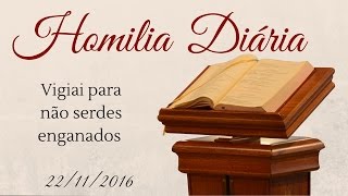 Homilia Diária - 22 de Novembro