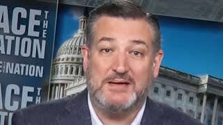 Ted Cruz's Blatant Hypocrisy Called Out On Live TV
