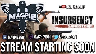Quick stream / limited comms / Insurgency Sandstorm