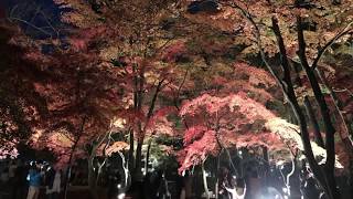 長瀞紅葉まつり2017 ライトアップ 月の石もみじ公園
