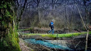 СКАЗКА " Мужик который любил Пилить" в поисках  Валёжника дуба