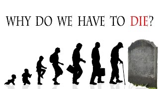 Why do we have to DIE?