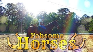 Fabsome Horses: Dressage Ride Test PLUS Breyerfest 2018
