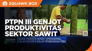 Ambil Peluang Pandemi, PTPN III Genjot Produktivitas Sektor Sawit