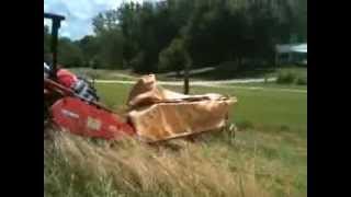 pawpaw cutting hay
