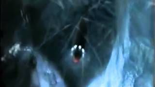 Vostok Lake Monster