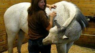 You scratch my back, I'll scratch yours!